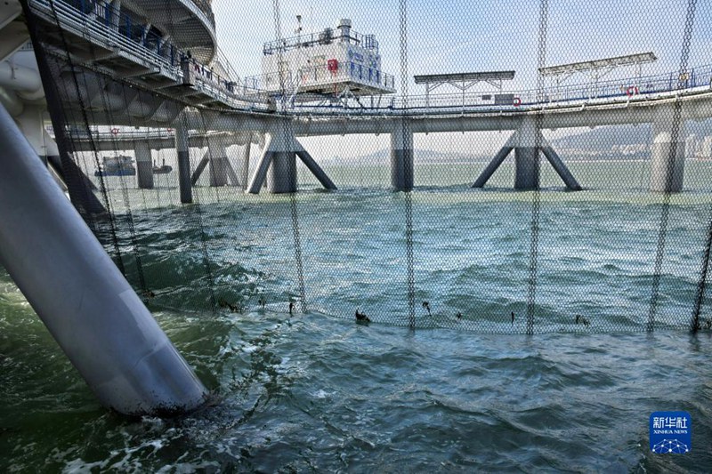 海洋牧場複合施設「耕海1號」を訪ねて