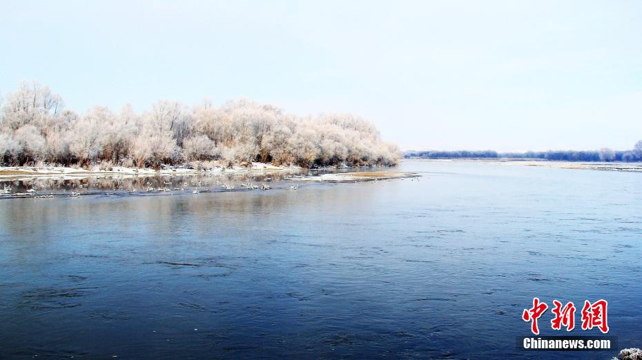今年初めての霧氷が観測された內(nèi)モンゴル?アルグン