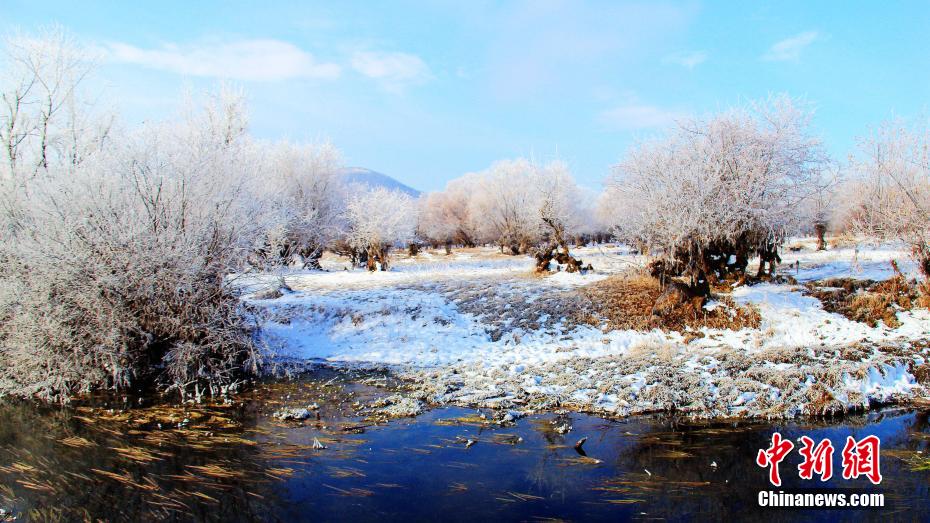 今年初めての霧氷が観測された內(nèi)モンゴル?アルグン
