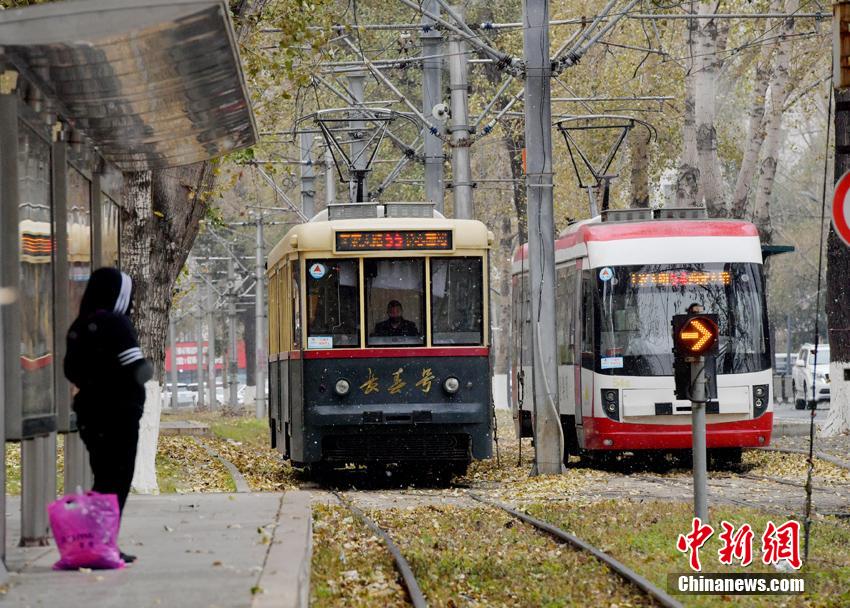 秋と冬、落葉と雪が同時(shí)に舞い散る吉林省長春