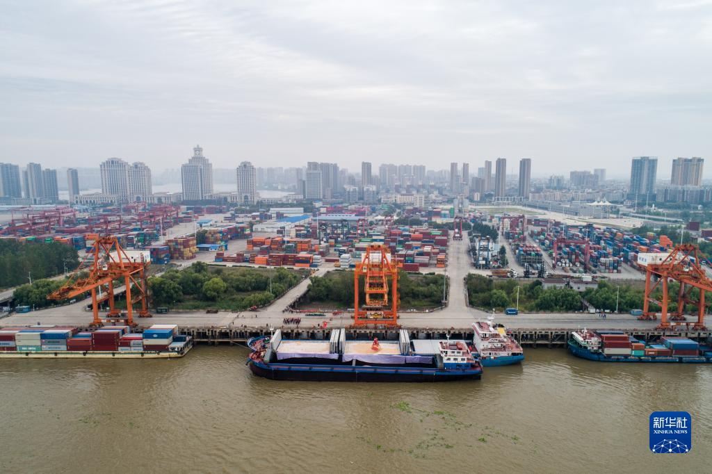 海外との貿(mào)易に新たな長江?海洋直通ルートが開通　湖北省武漢市