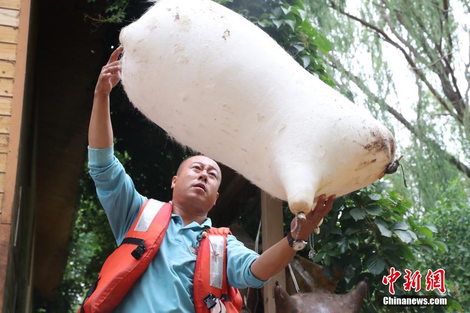 羊皮いかだはどうやって作る？　寧夏