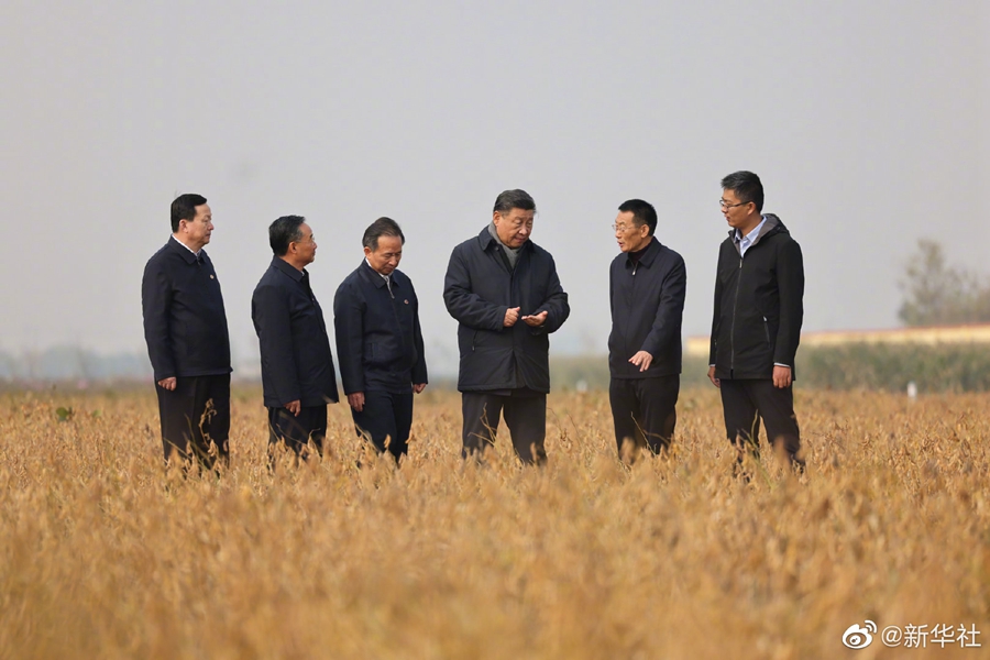 習(xí)近平総書記が山東省東営市で現(xiàn)代農(nóng)業(yè)発展などを視察
