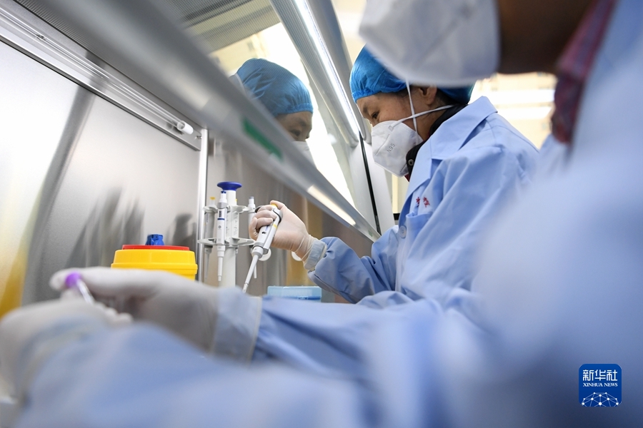 ウイルスとの「競走」　PCR検査実験室を訪ねて