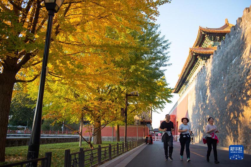 （撮影?陳鍾昊）