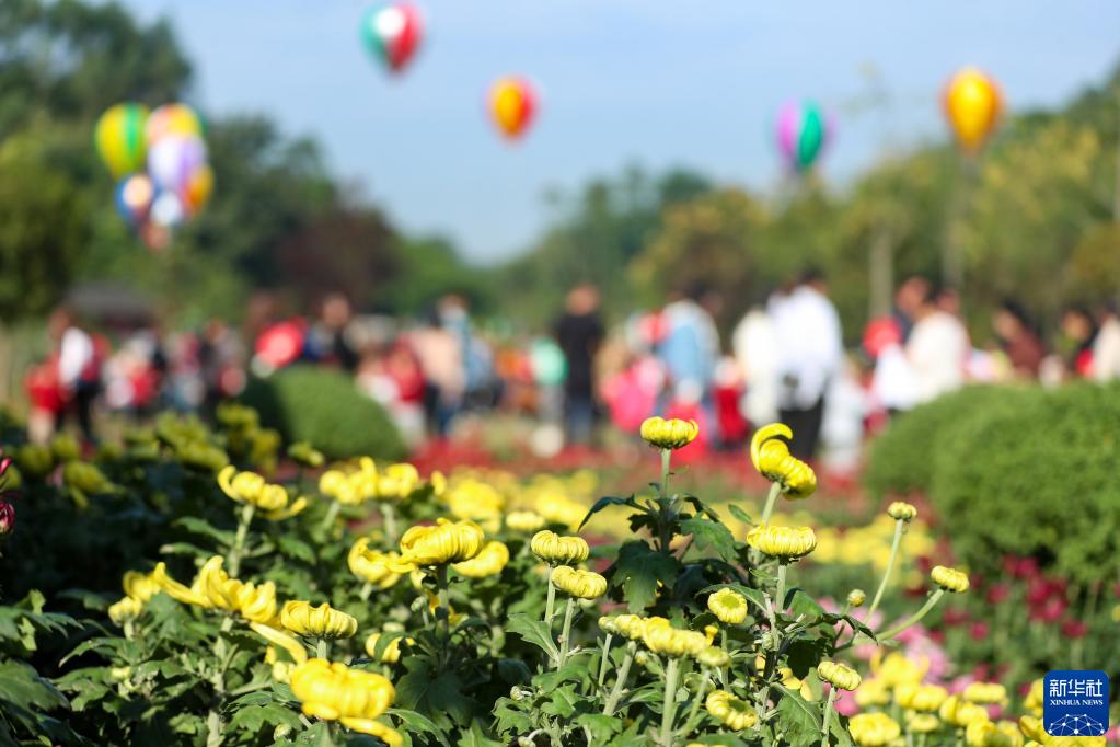 郷村振興を後押しする花卉産業(yè)　四川省華鎣