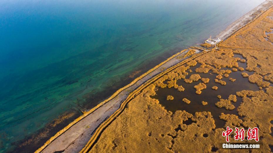 人々を魅了するボステン湖の秋景色　新疆
