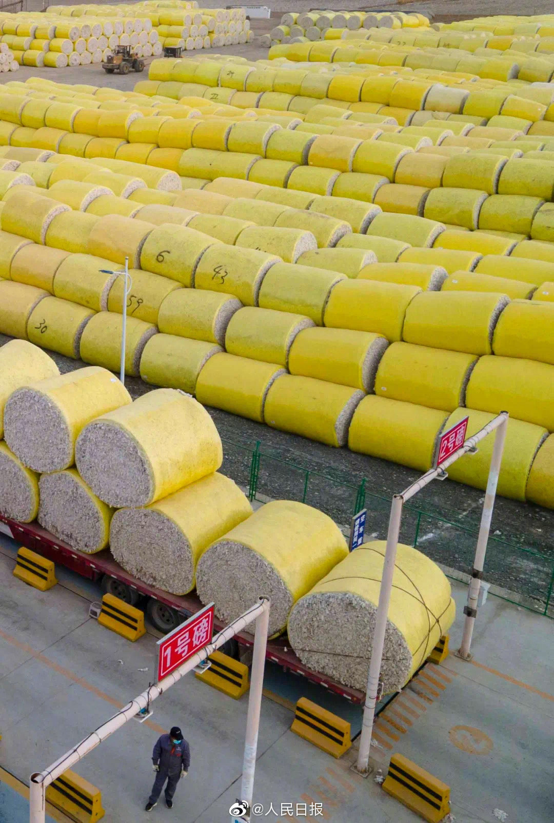 積み上げられた「金の卵」にぎっしり詰められているのは？　新疆