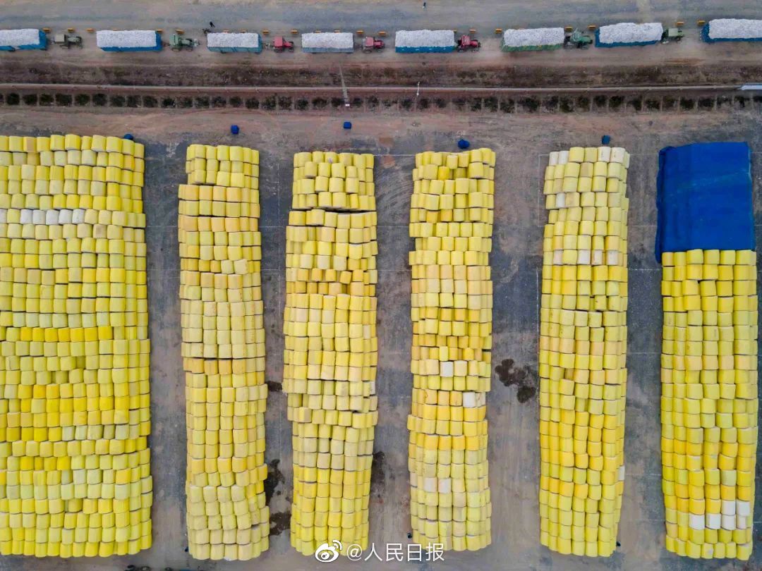 積み上げられた「金の卵」にぎっしり詰められているのは？　新疆