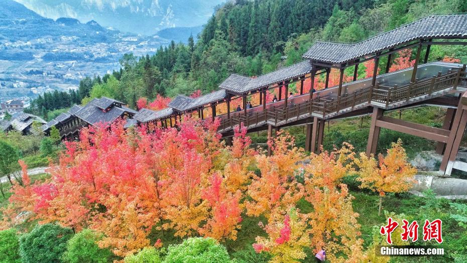 秋深まり美しい紅葉広がる湖北省の恩施大峽谷