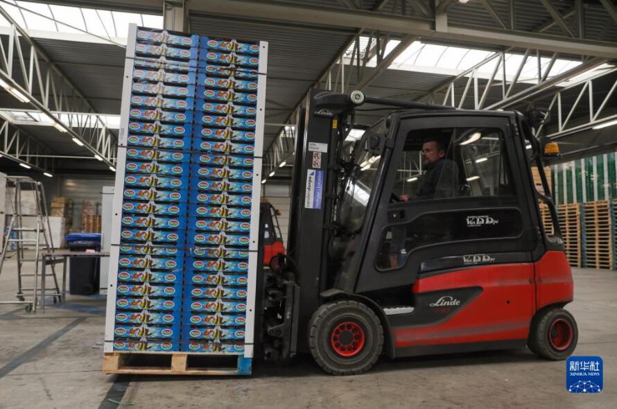 ベルギーの赤い洋梨が中國輸入博に「熱視線」