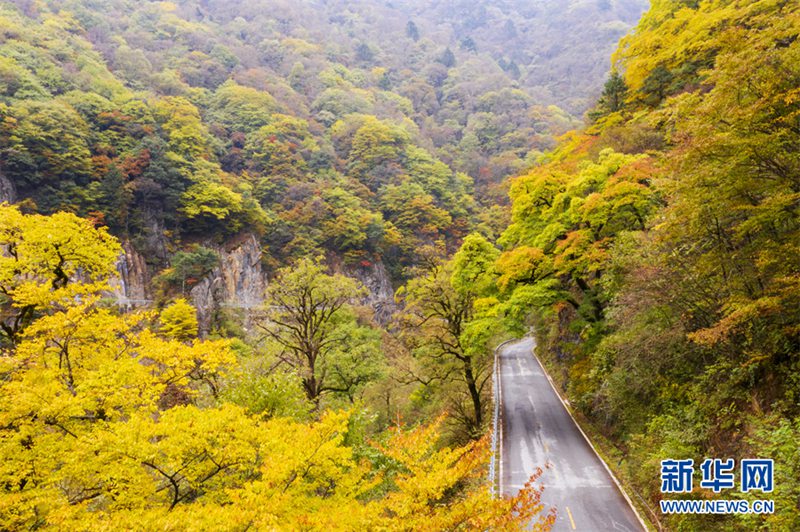 神農(nóng)架の秋景色が見頃！　目を奪う自然の饗宴