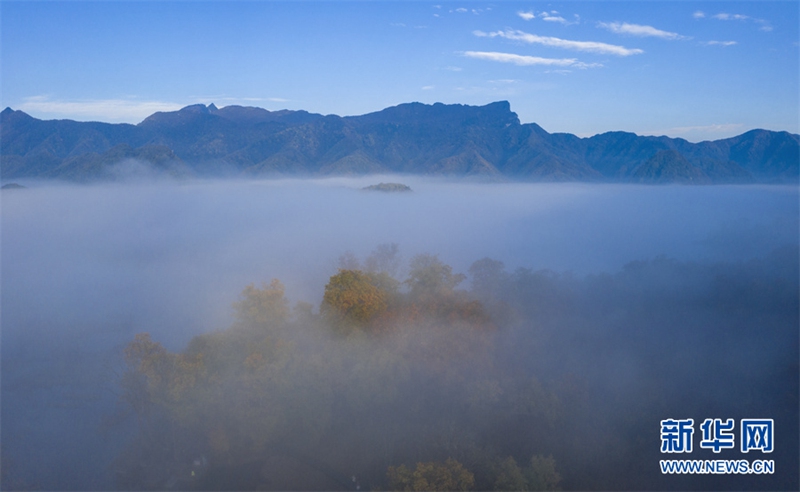 神農(nóng)架の秋景色が見頃！　目を奪う自然の饗宴