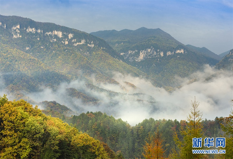 神農(nóng)架の秋景色が見頃！　目を奪う自然の饗宴