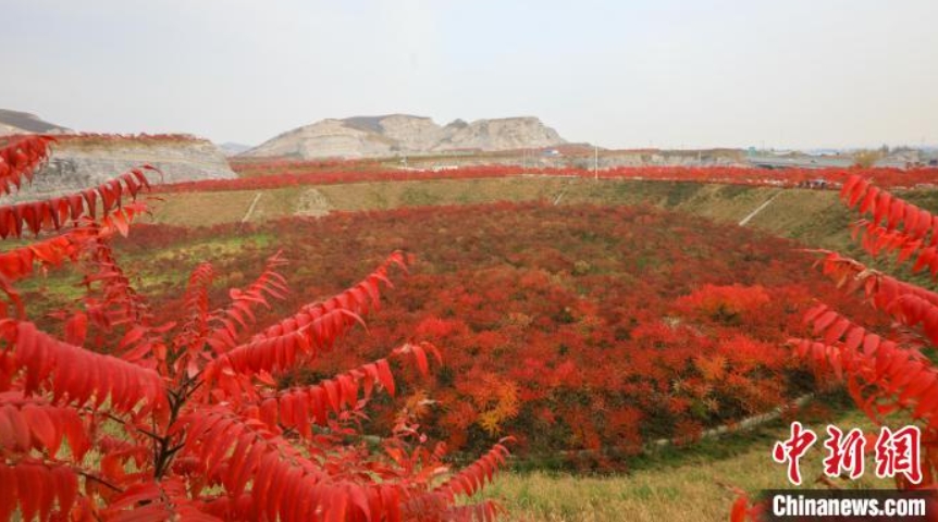 舊鉱山が晩秋の撮影スポットに　河北省三河