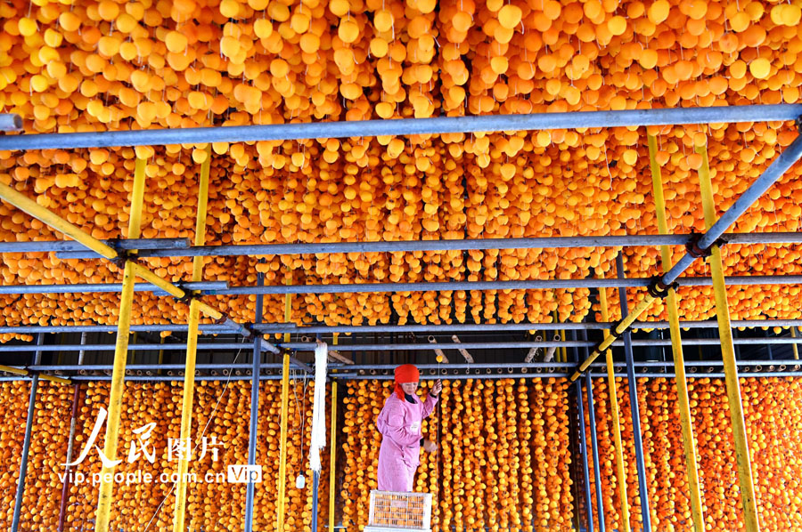 農(nóng)民に増収もたらす干し柿作りが繁忙期に　山東省沂源県