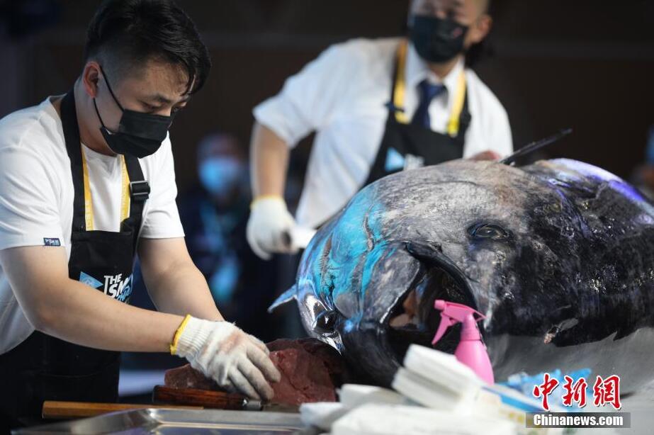 353kgの地中海「マグロ王」が輸入博に登場　解體ショーも