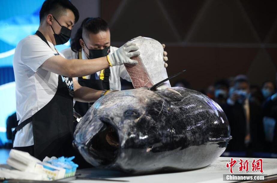 353kgの地中?！弗蕙哎硗酢工斎氩─说菆觥〗怏wショーも