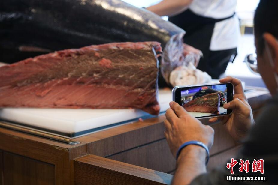 353kgの地中?！弗蕙哎硗酢工斎氩─说菆觥〗怏wショーも