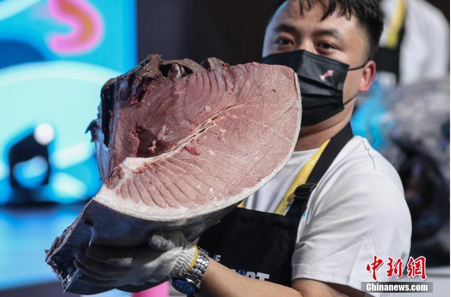 353kgの地中海「マグロ王」が輸入博に登場　解體ショーも