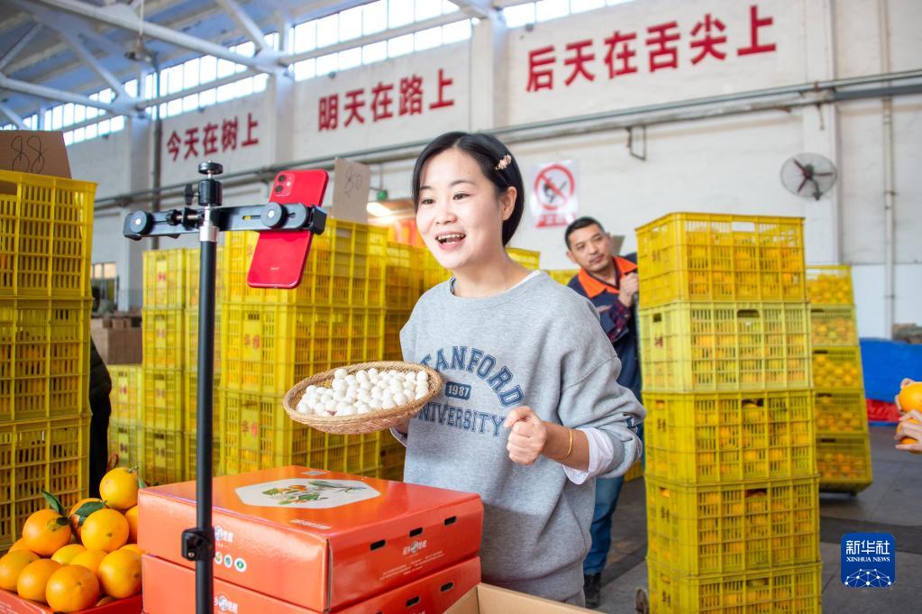 デジタル郷村建設(shè)を推進(jìn)して郷村振興をバックアップ　湖北省