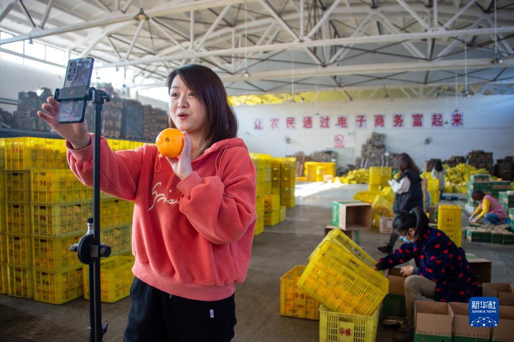 デジタル郷村建設(shè)を推進(jìn)して郷村振興をバックアップ　湖北省