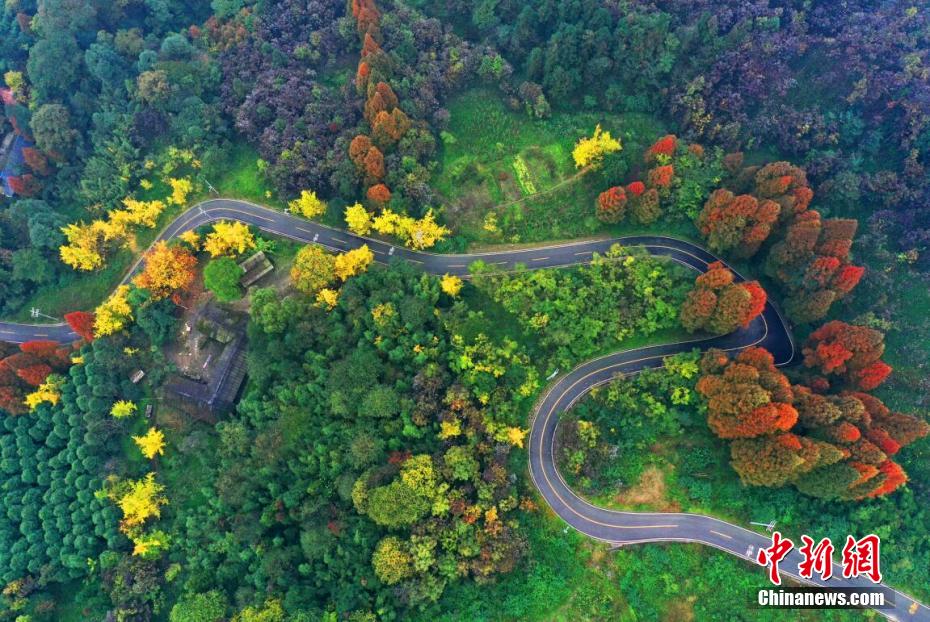 趙公山に広がるカラフルな林　四川省都江堰