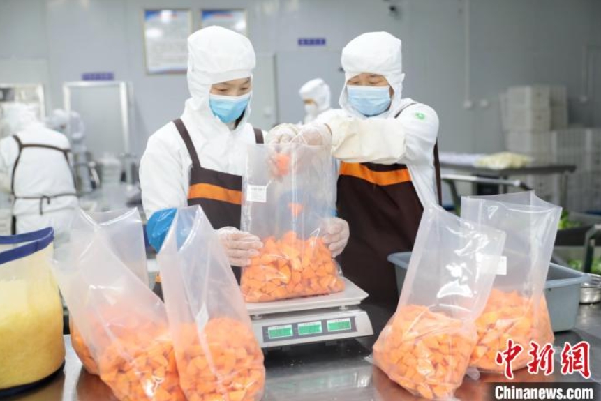 洗浄加工済み野菜を24時間以內(nèi)に北京の食卓へ　河北省固安