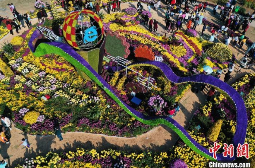 100萬鉢の菊が満開に　江西省南昌