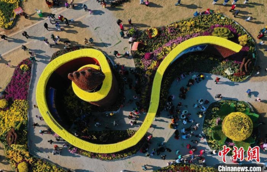 江西省南昌市馬蘭圩花海公園で満開を迎えた100萬鉢以上の菊（11月14日撮影?劉占昆）。