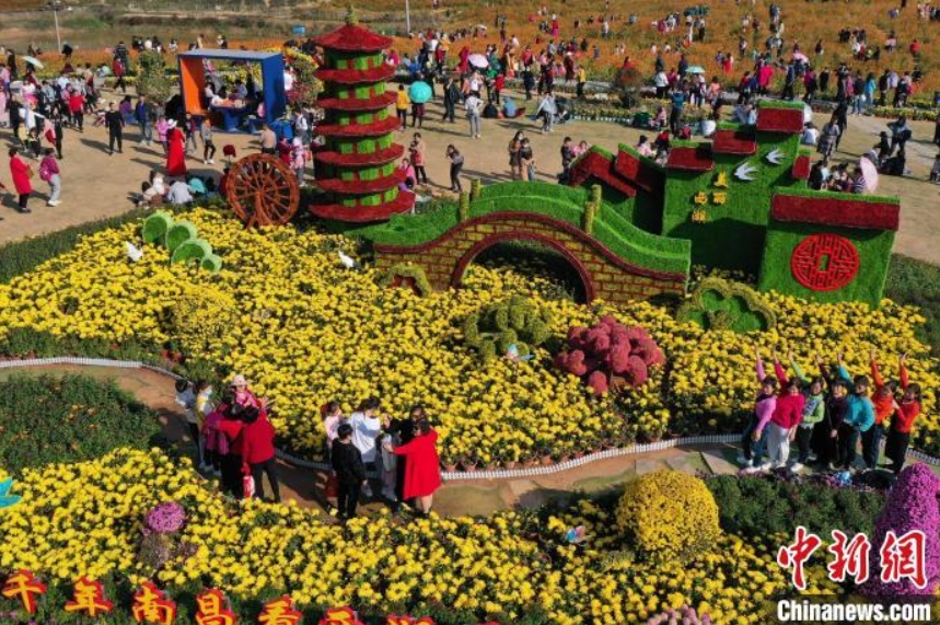 100萬鉢の菊が満開に　江西省南昌