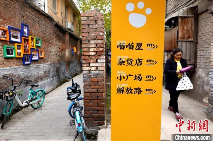 ネコの足跡や足のイラストが描かれている案內(nèi)板（撮影?張遠(yuǎn)）。