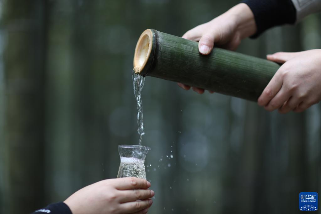 竹酒を「植える」ビジネスを展開するミャオ族の女性　貴州省