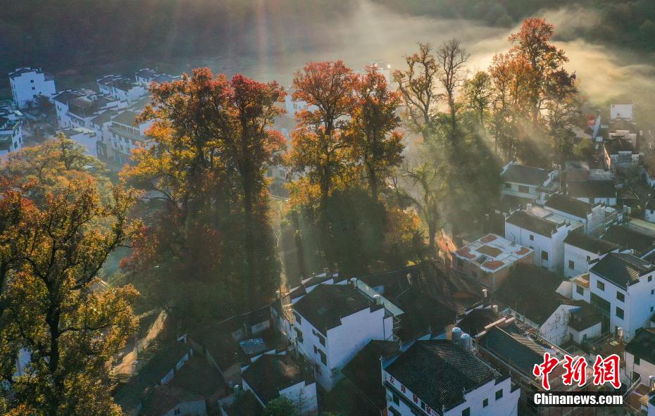 朝霧に包まれた婺源県大鄣山郷石城村（撮影?胡敦煌）。