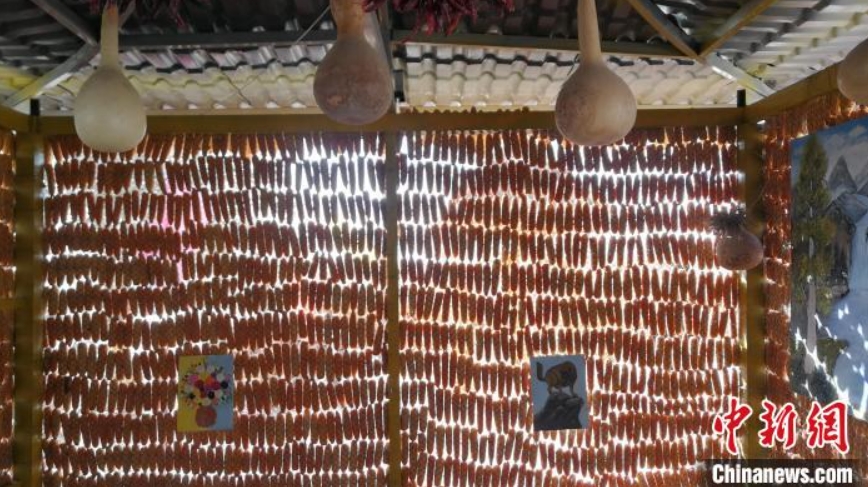 トウモロコシ50トンで飾り付けられた「黃金色の家」　新疆