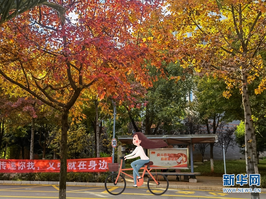 キャンパスの風(fēng)景にイラスト組み合わせた「冬の運(yùn)動會」　雲(yún)南師範(fàn)大學(xué)