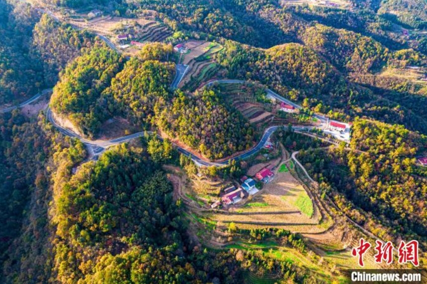 今では平坦な道となったかつて「ニワトリの腸の道」と呼ばれた悪路（撮影?望作信）。