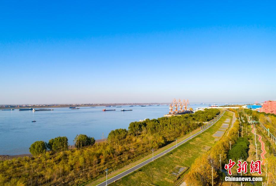 初冬が訪れ、色づいた木々で覆われた長(zhǎng)江の「最も美しい沿岸線」である湖口區(qū)間（撮影?李學(xué)華）。 