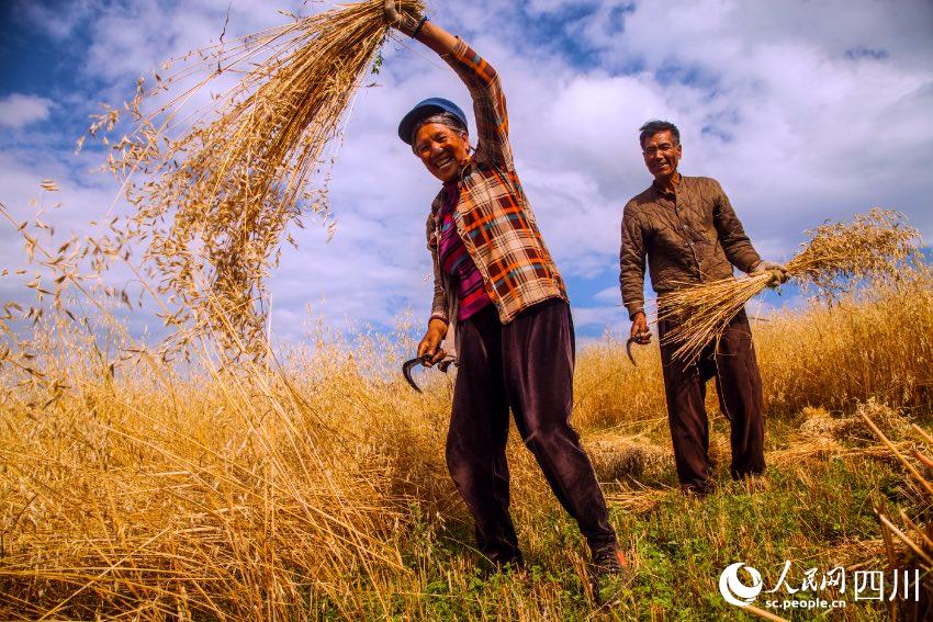 豊作に笑みを浮かべる農(nóng)民たち（撮影?張東）。