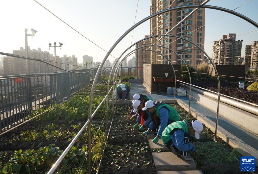 屋上に設(shè)けられた「労働の楽園」　上海