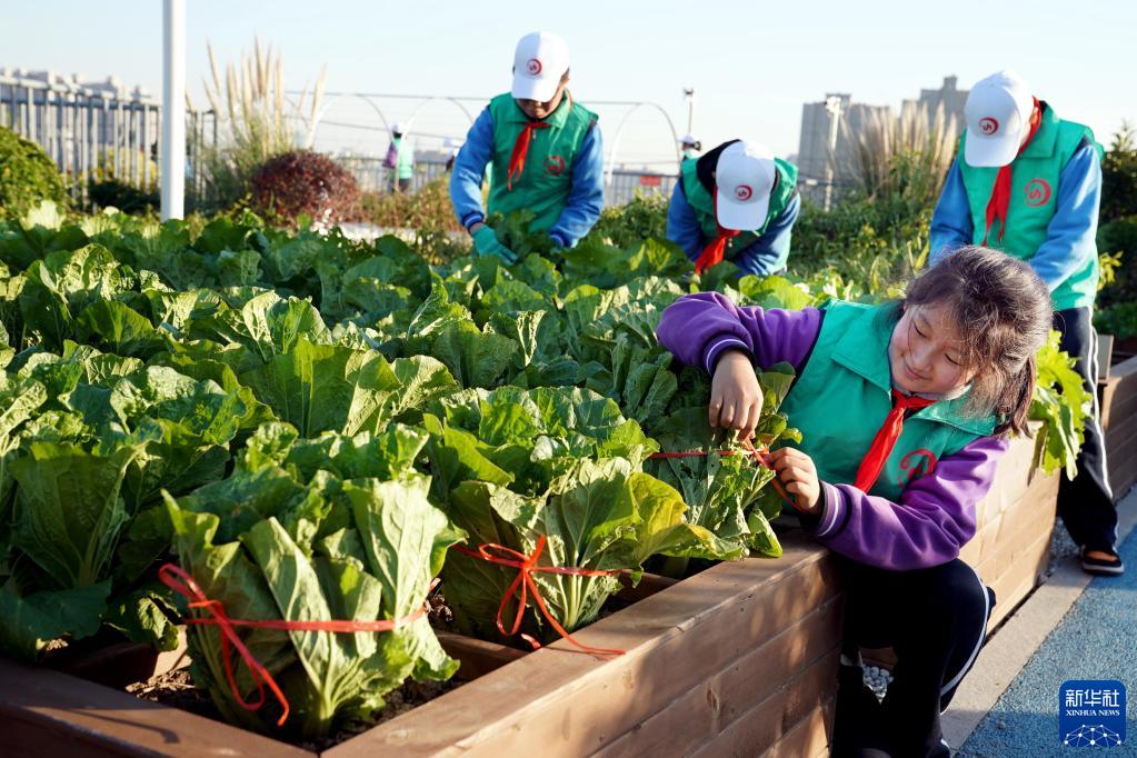 屋上に設(shè)けられた「労働の楽園」　上海