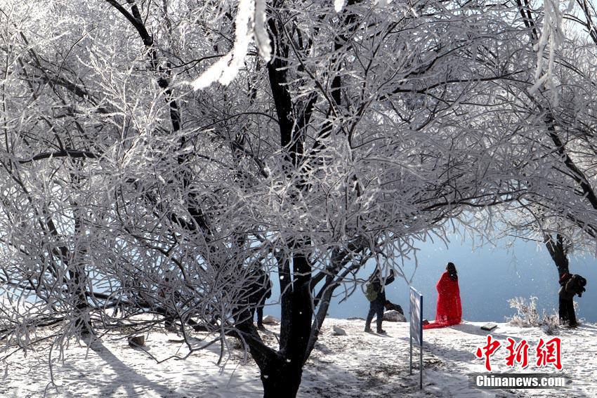 中國(guó)で「霧氷の街」と呼ばれる吉林市で霧氷を観測(cè)　吉林省