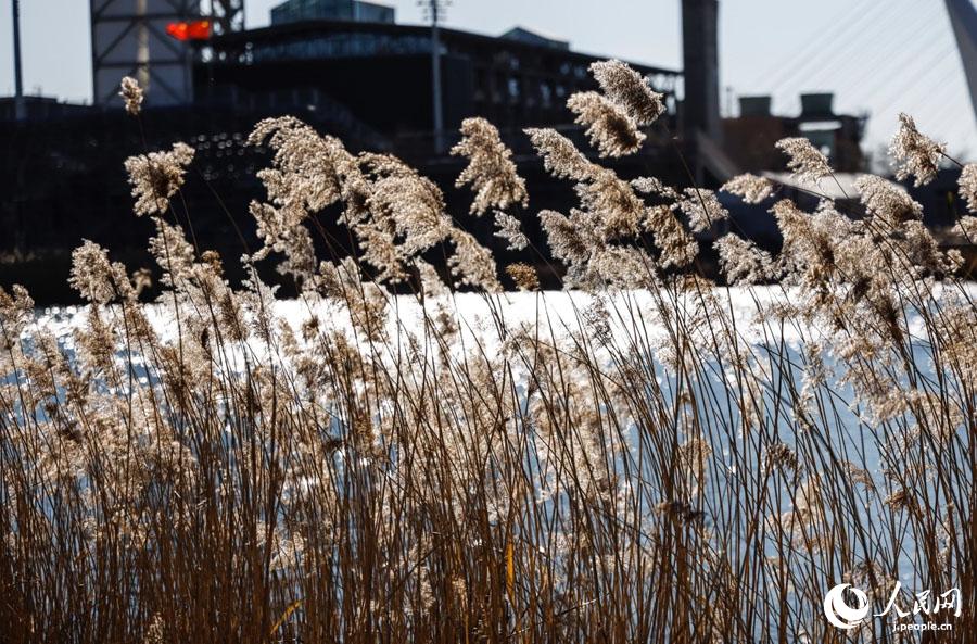 冬季五輪開催を靜かに待つ首鋼園區(qū)　北京