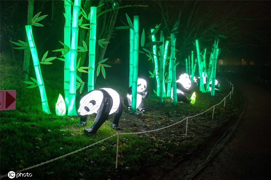 中國(guó)の鮮やかで伝統(tǒng)的なランタンがフランスに登場(chǎng)