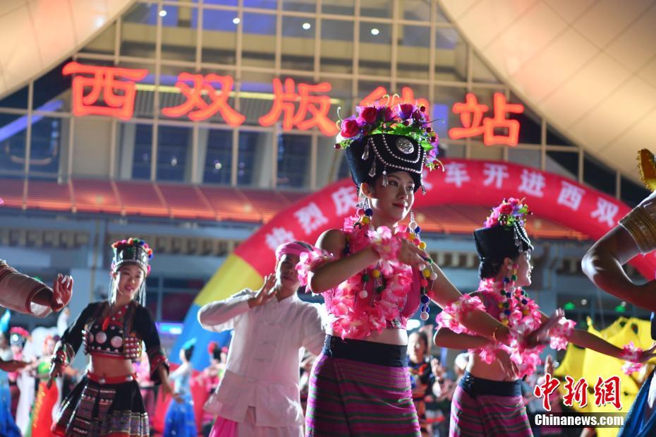 中國ラオス鉄道が開通、1本目の列車がシーサンパンナ?タイ族自治州に到著