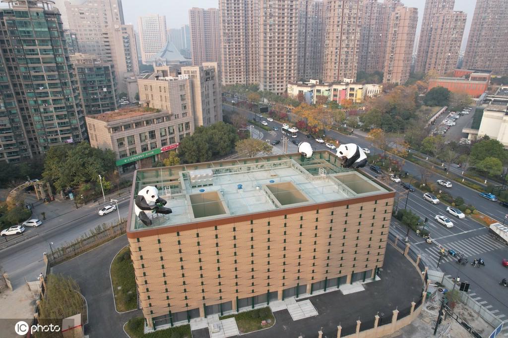 変電所の屋上に登場したパンダ（寫真著作権は東方ICが所有のため転載禁止）。