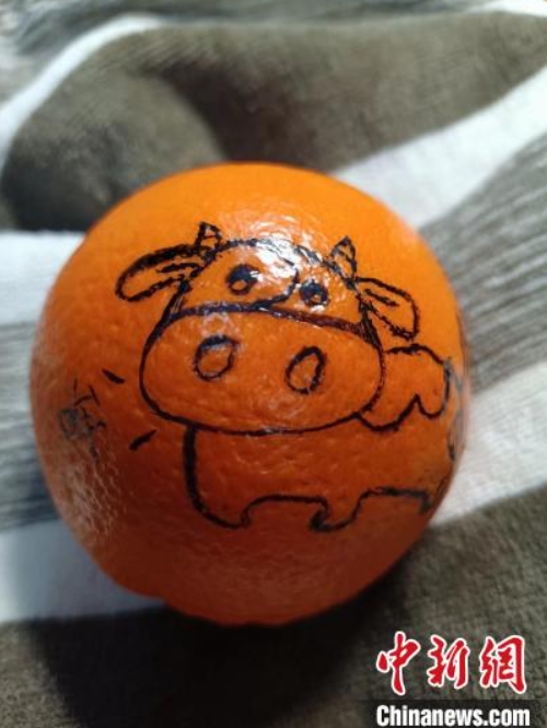 大學(xué)院受験の合格を祈願するブラインドボックスを配布　江蘇省南京