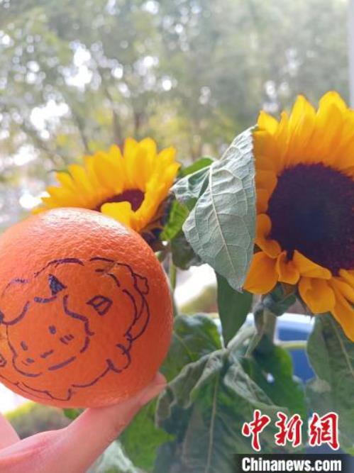 大學(xué)院受験の合格を祈願(yuàn)するブラインドボックスを配布　江蘇省南京