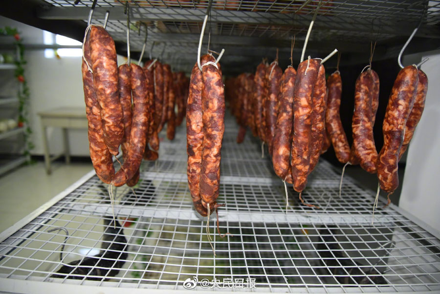 兵営では野菜までキッチリ整列！　新疆