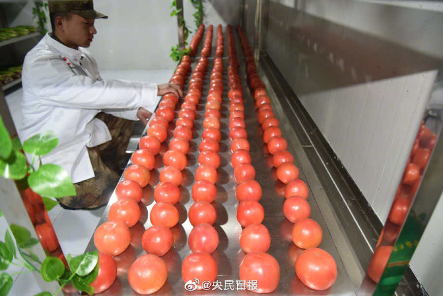 兵営では野菜までキッチリ整列！　新疆